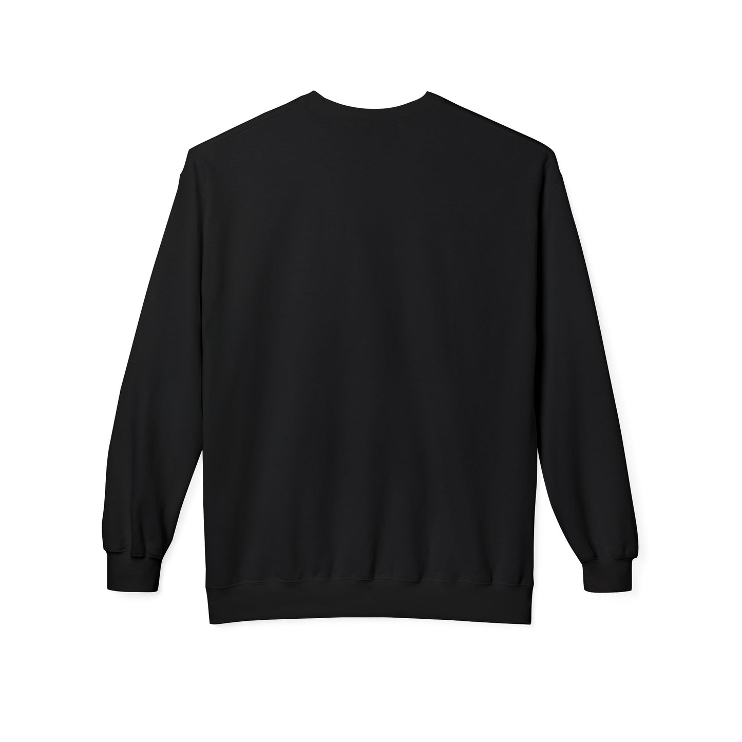 Native Sweatshirt